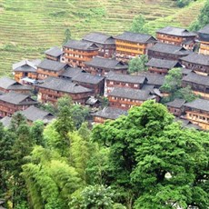 Dragon's Backbone rice terraces